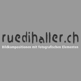 ruedeihaller