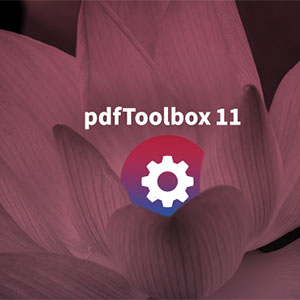 pdfToolbox 11-300x300