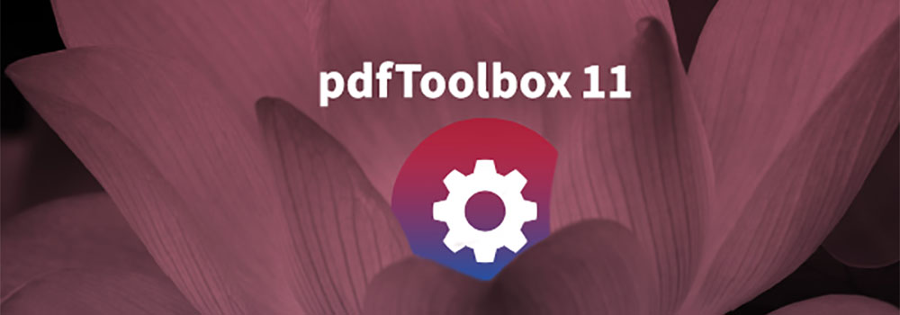 pdfToolbox 11-1000x350